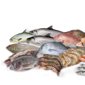 Fresh Fish