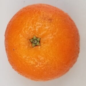 Tangerine