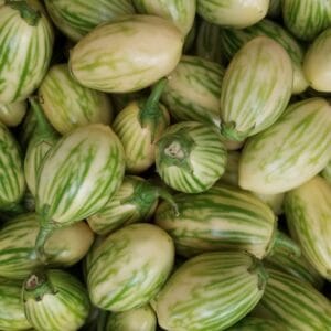 Garden Egg (Eggplant)