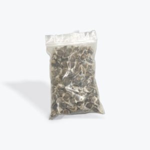 Moringa Seed
